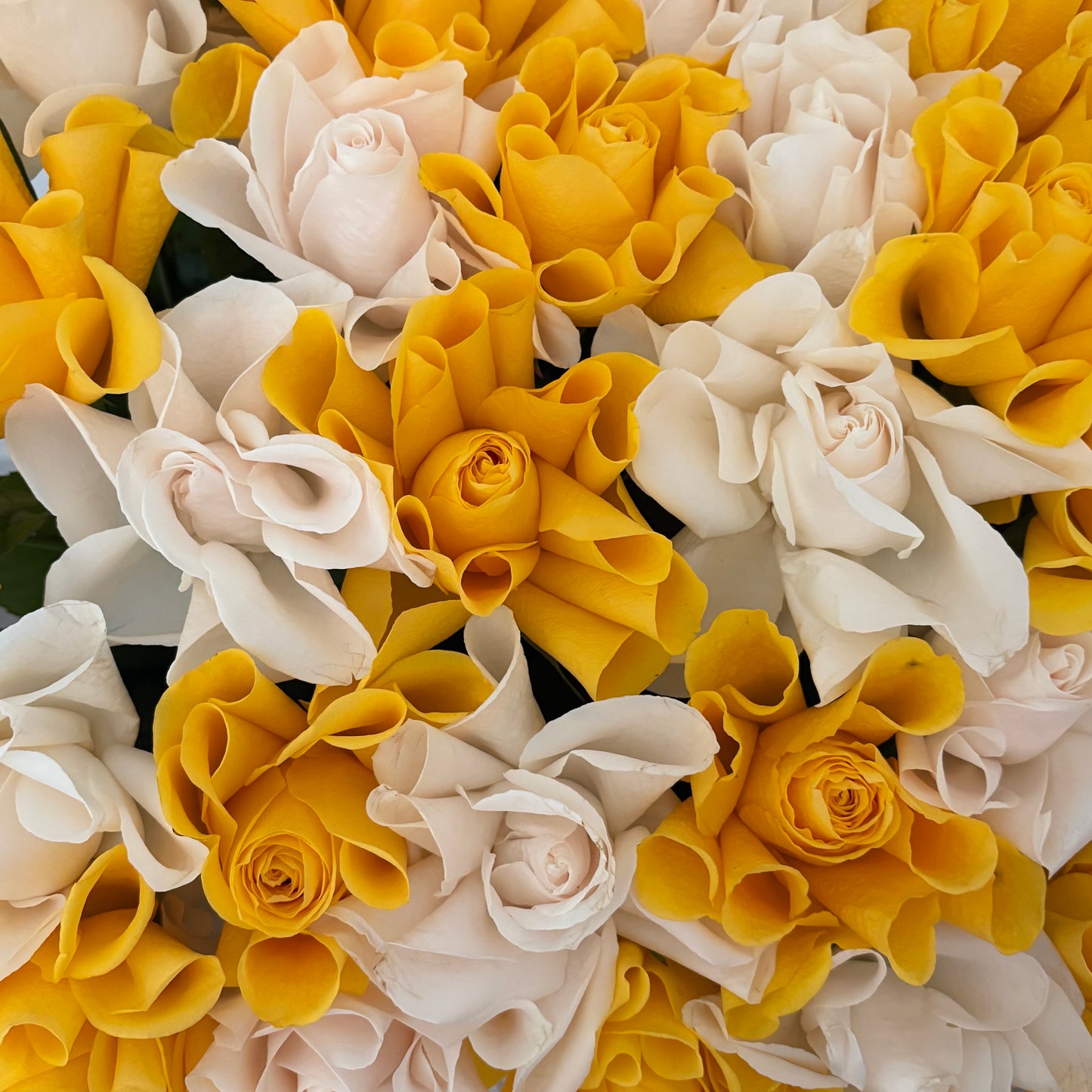 A Sunshine Bouquet ððĶĒð