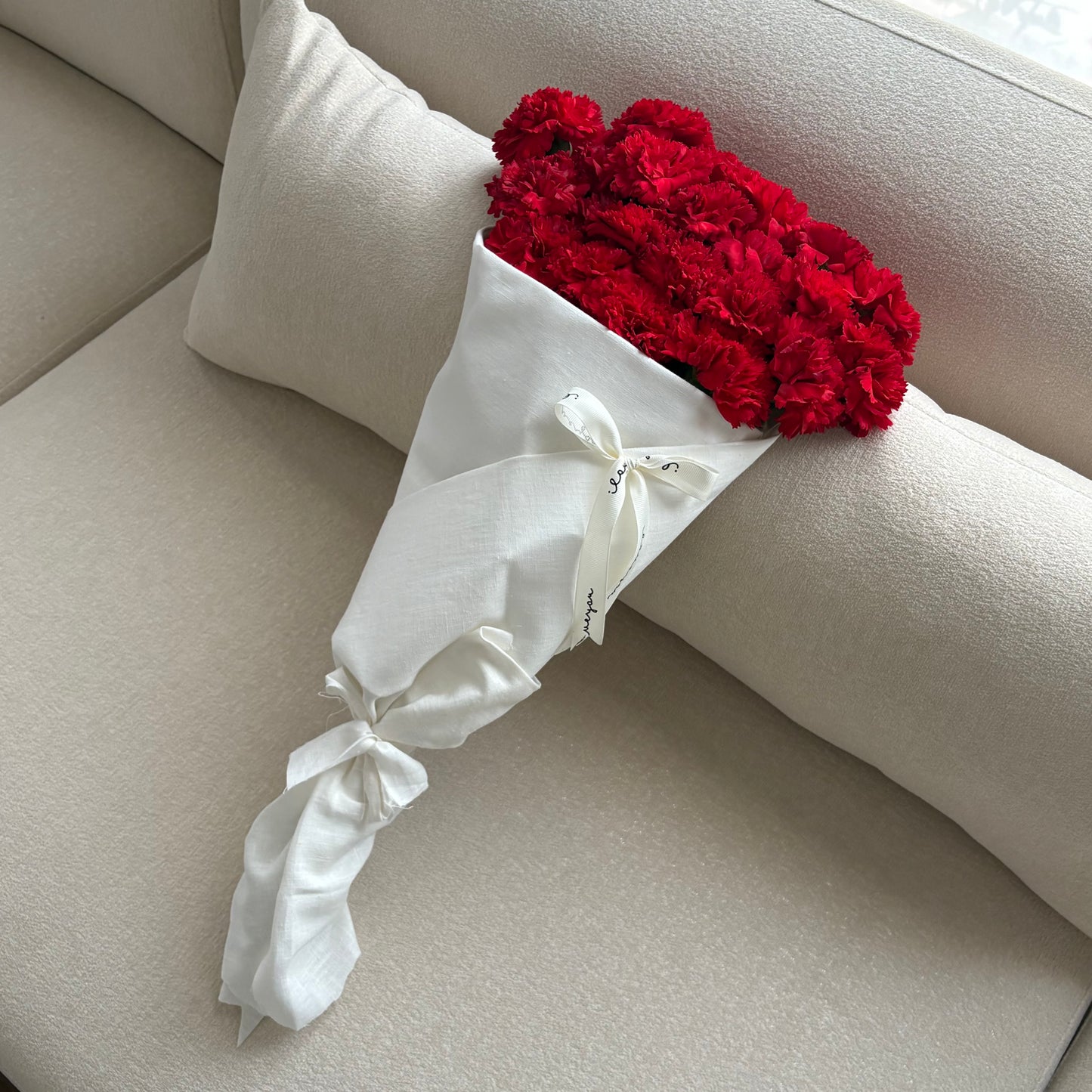 Red carnation ❣️🪄