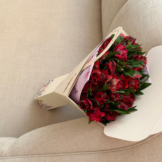 Alstroemeria Red 🦢❣️