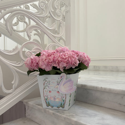 Hydrengea in Pink 🦢🩷