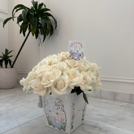 Roses 🤍🦢