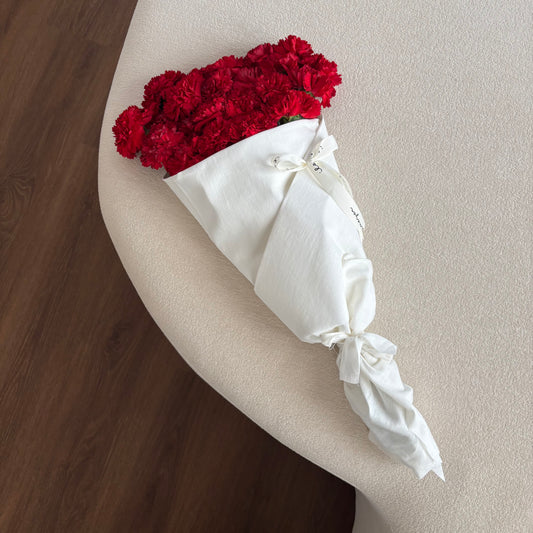 Red carnation ❣️🪄